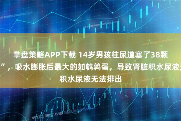 掌盘策略APP下载 14岁男孩往尿道塞了38颗“水宝宝”，吸水膨胀后最大的如鹌鹑蛋，导致肾脏积水尿液无法排出